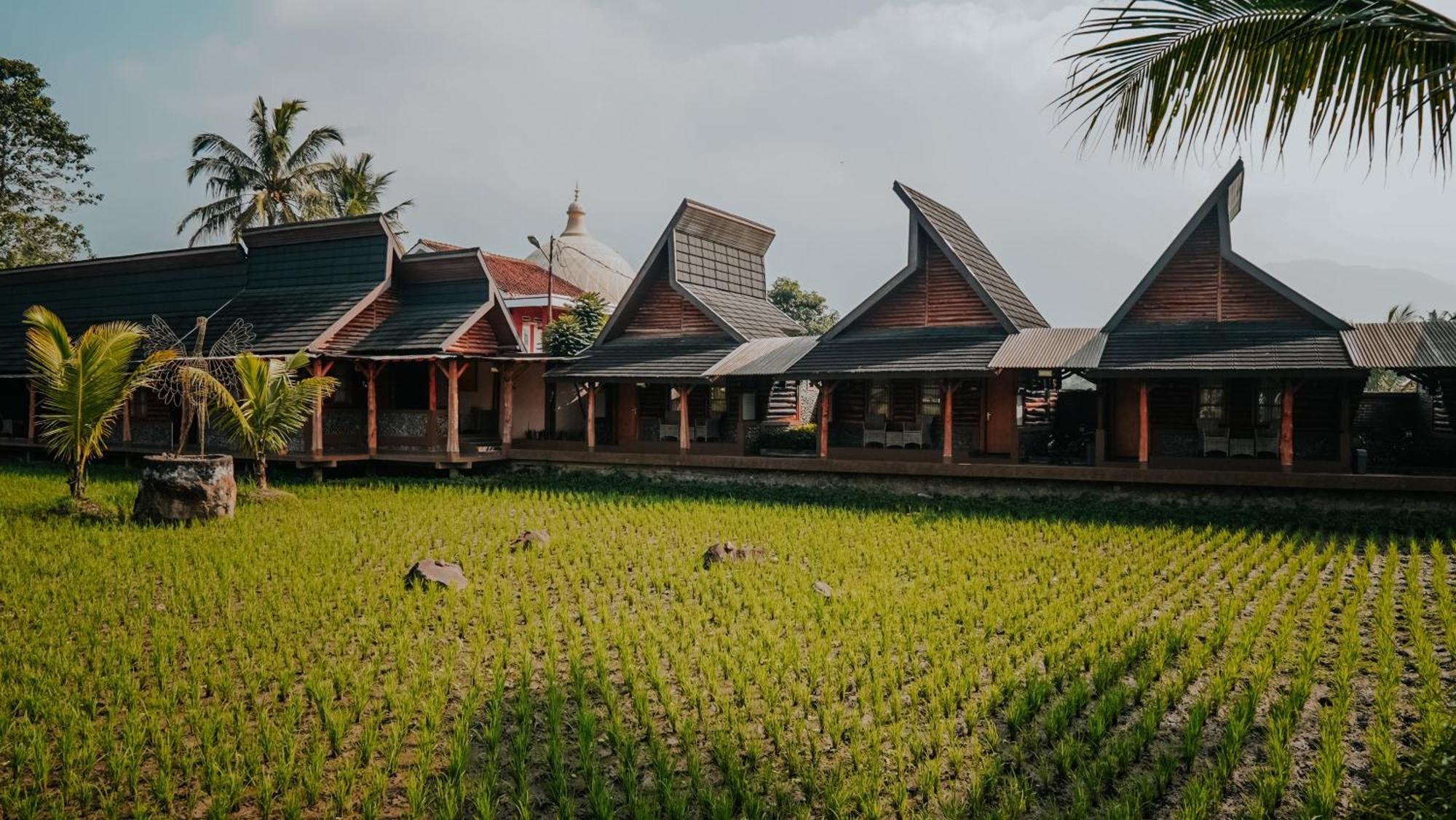 Bungalow Satu Kamar Tidur